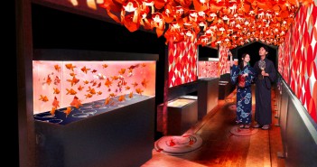 Tokyo Goldfish Wonderland at Sumida Aquarium (amuzen article)