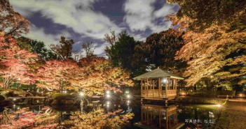 Lighting of autumn leaves 2019 at Otaguro Park