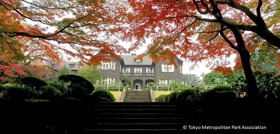 Autumn 2017 in the Kyu-Furukawa Garden (amuzen article)