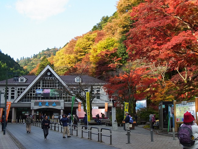 Mount Takao Fall Foliage Festival 2018
