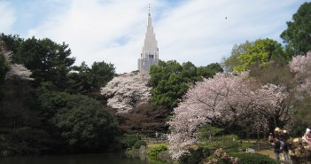 Cherry blossoms 2019 at Sinjuku Gyoen