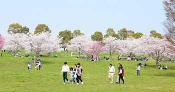 © Tokyo Metropolitan Park Association