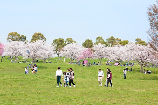 © Tokyo Metropolitan Park Association