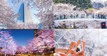 Cherry blossoms 2019 at Tokyo Midtown