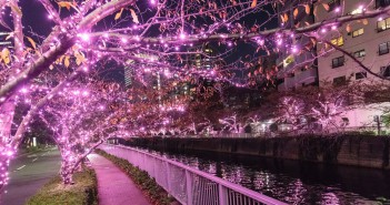 Meguro River Minna-no Illumination 2019