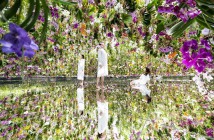 teamLab Planets: two art gardens｜amuzen Tokyo