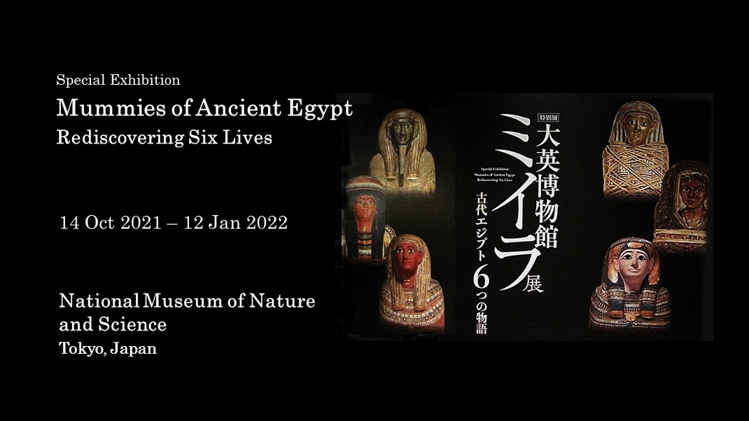 Mummies of Ancient Egypt from the British Museum | amuzen