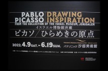 Pablo Picasso: Drawing Inspiration |amuzen